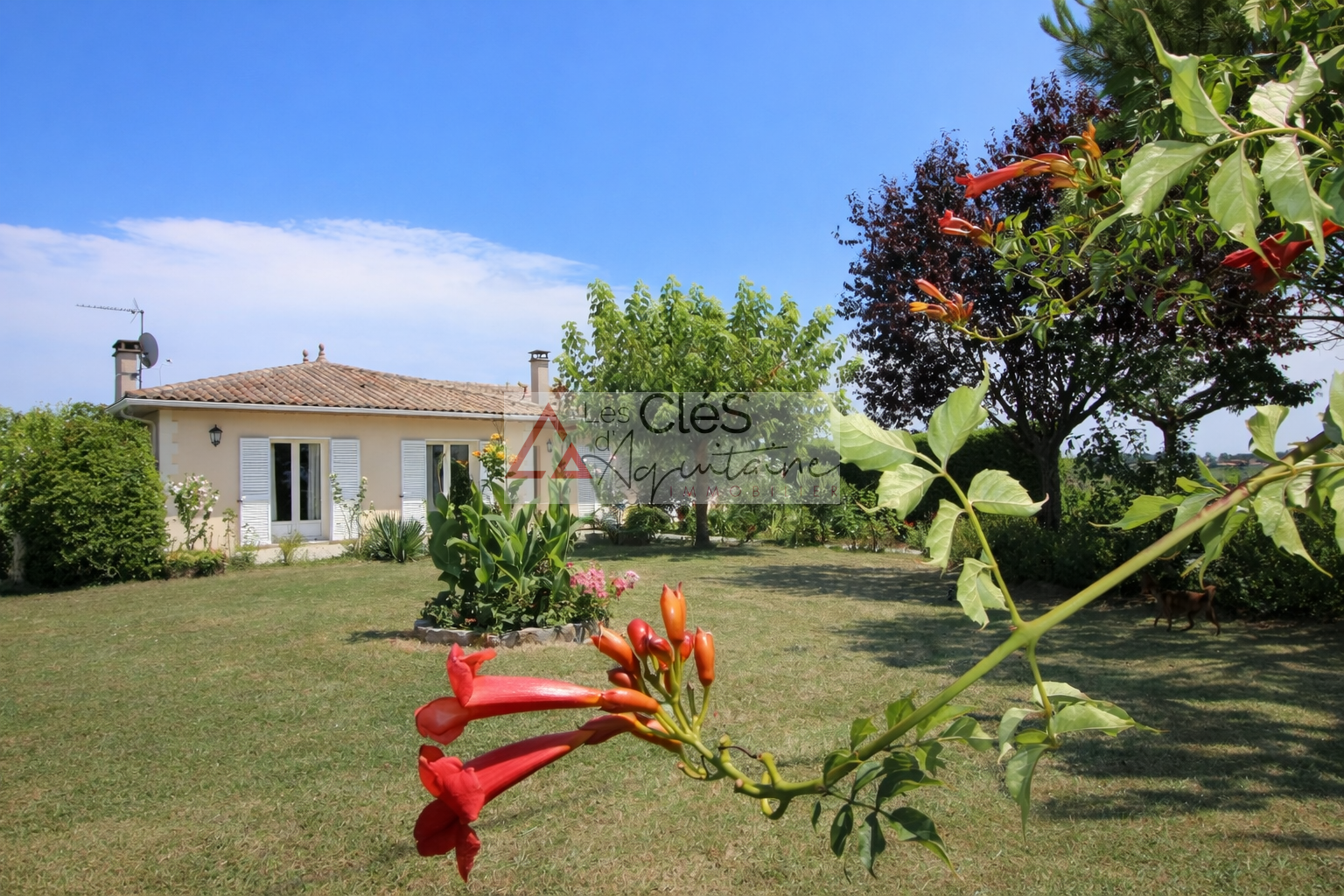 Agence immobilière de LES CLES DE L'IMMO